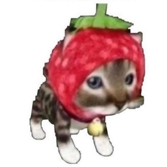 mollyhoule